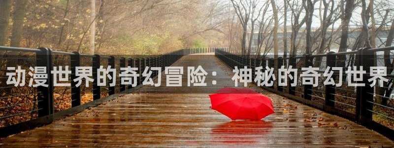 动漫屋免费下载